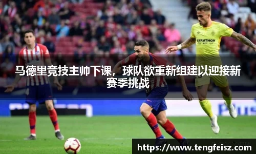 马德里竞技主帅下课，球队欲重新组建以迎接新赛季挑战