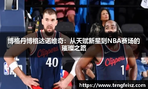 博格丹博格达诺维奇：从天赋新星到NBA赛场的璀璨之路