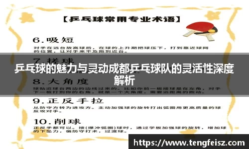乒乓球的魅力与灵动成都乒乓球队的灵活性深度解析